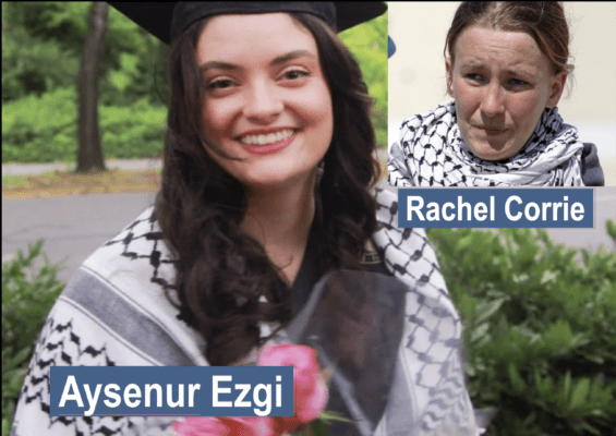 Screenshot 2024 09 08 At 7.31.29 pm